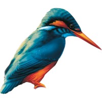 Kingfisher Building Products Ltd
