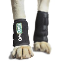Ortocanis logo - Similar company to Benmayor