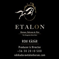 ETALON - Horses, Falcons & Fire logo - Similar company to Haystack Consultants