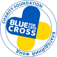 Charity Organization 
