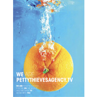 Petty Thieves Agency