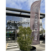 Peugeot Arcachon logo - Similar company to Arcachon Langues
