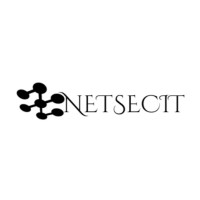 Net Sec IT logo - Similar company to Tactivite Solutions