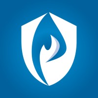 Pro Safety Solutions logo - Similar company to Pro-Safe - Professional Rib Solutions