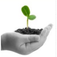 Fertile Land Trading logo - Similar company to Cheap Yellow Corn