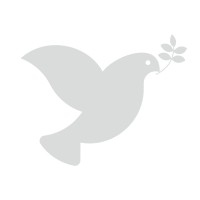 Hello Revival logo - Similar company to Stoggles