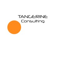 Tangerine Consulting Ltd logo - Similar company to Bed Group