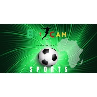 Betcam logo - Similar company to Smarthiv Inc.