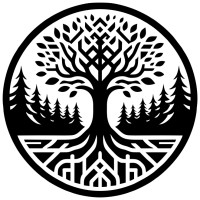 Black Forest Systems logo - Similar company to Bravo Dynamics