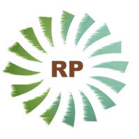 Radial Partners logo - Similar company to Radical Partner