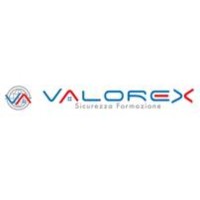 Valorex logo - Similar company to Valorex Dijon