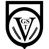 VGST logo - Similar company to Vgs-Nederland
