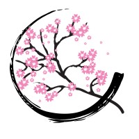 Aconis logo - Similar company to Akonis