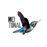 Motonal Studio