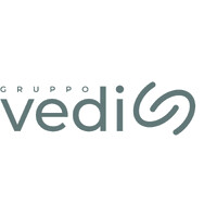 Gruppo Vedi S.r.l. logo - Similar company to Mekanoplastica