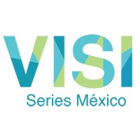 VISI Series México logo - Similar company to Gicmac Industrial