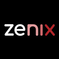 Zenix Consulting logo - Similar company to Vbcg