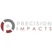 Precision Impacts logo - Similar company to Blue Marble Analytics