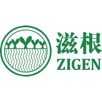 Zigen Fund logo - Similar company to Theace -- Accelerated Chinese Education