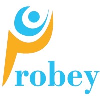 Probey Services logo - Similar company to Geeks Of Digital
