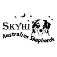SkyHi Australian Shepherds logo - Similar company to Australian Shepherd Club Of America
