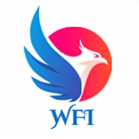 WORLDFLY INTERNATIONAL COMPANY LIMITED logo - Similar company to Soft Tech Solutions