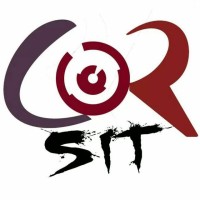 CORSIT logo - Similar company to Soaring Eagles