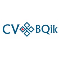 Cvbqik Consulting Co., Ltd