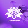 Lotus 8 Esports logo - Similar company to L8Tency Llc