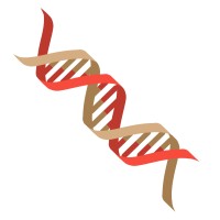 xBiologix logo - Similar company to Invivo Biosystems