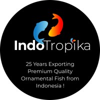 Indotropika Wholesale Aquarium Fish Exporter Indonesia logo - Similar company to Hinternoosa Hatchery