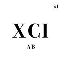 XCI AB logo - Similar company to Pro Rata