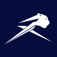 Panthera Team Asia F1 Team logo - Similar company to Sp&Co