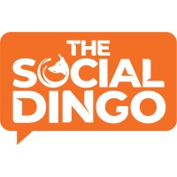 The Social Dingo logo - Similar company to Salty Dingo