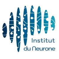 Institut du Neurone logo - Similar company to Strains