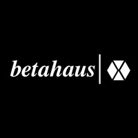 betahausX logo - Similar company to Ode.Systems