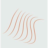 The Seeking State logo - Similar company to Towards Soul Integrity