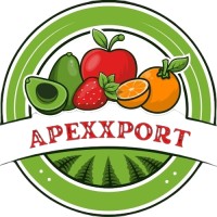 APEXXPORT.CO logo - Similar company to Spices Corner
