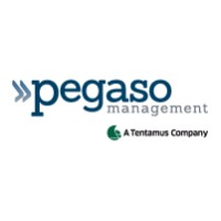 Pegaso Management - A Tentamus Company logo - Similar company to Garbage Group