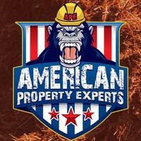 American Property Experts logo - Similar company to Prisma Dimensions Group