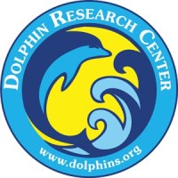 Dolphin Research Center logo - Similar company to Bottlenose Dolphin Research Institute - Bdri