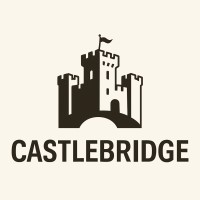 Castlebridge logo - Similar company to Focus Factor