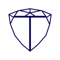 Trilliant Capital logo - Similar company to Frontera Emerging Markets Limited