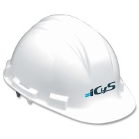 Icys Srl