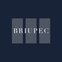 Briupec Consultoría logo - Similar company to Inmofirm