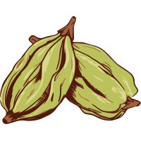 elaichi co. logo - Similar company to Shegai