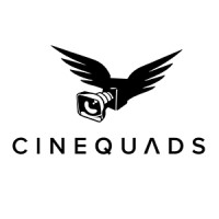 CINEQUADS logo - Similar company to Artcon Electronics