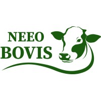 Neeo Bovis logo - Similar company to Iyotah Solutions
