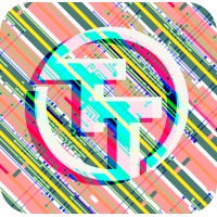 Tiny Tapeout logo - Similar company to The Openroad Project