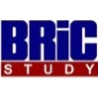 Harlan Brown & Company / Bric Study